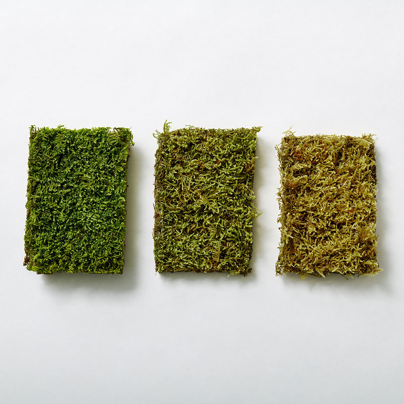 MOSS SHEET L